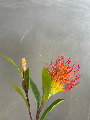 Open image in slideshow, Pincushion Protea
