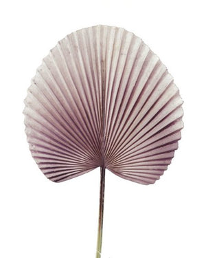 Open image in slideshow, Fan Palm Leaf
