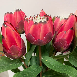 Open image in slideshow, Protea Bouquet
