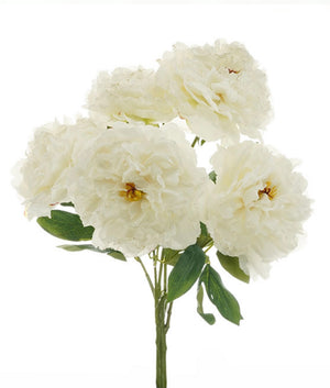 Open image in slideshow, Dried Peony Bouquet
