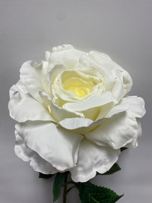 Open image in slideshow, Single Rose
