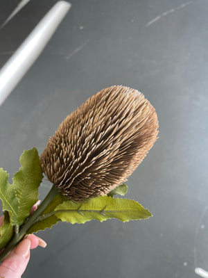 Open image in slideshow, Banksia stem Dried Look
