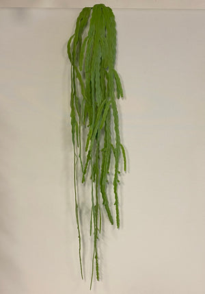 Open image in slideshow, Real touch hanging Rhipsalis

